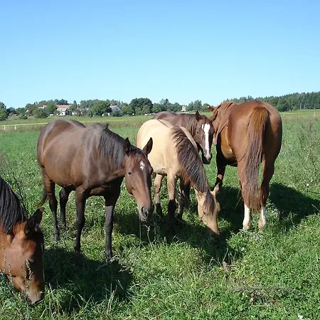 Konirna Pensjonat 4*