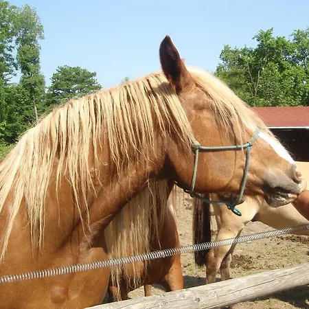 Konirna Pensjonat 4*