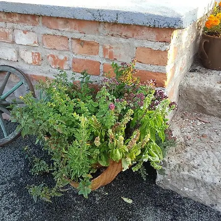 Konirna 4* Huntirov (Hradec Kralove)