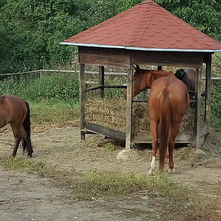 Konirna 4* Huntirov (Hradec Kralove)