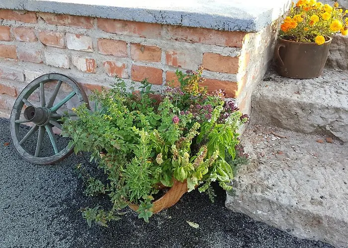 Konirna 4* Huntirov (Hradec Kralove)