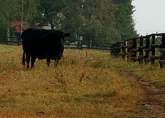 Konirna Konukevi Huntirov (Hradec Kralove)