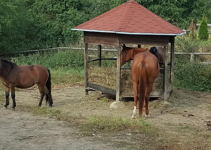 Konirna 4* Huntirov (Hradec Kralove)